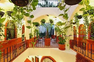 El Patio Playa del Carmen